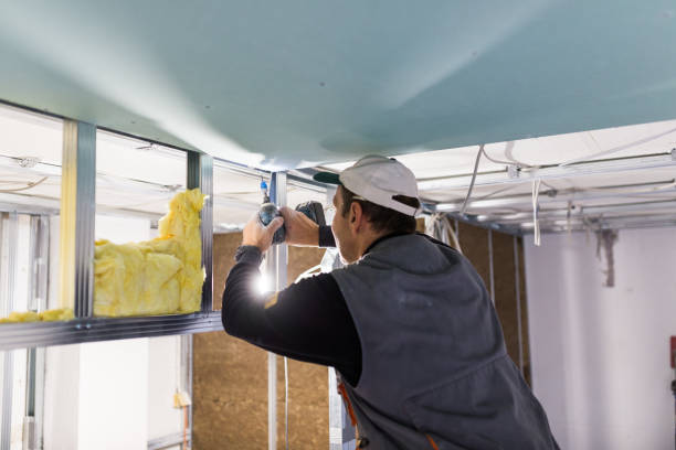 Best Specialized Insulation Services in Leetonia, OH